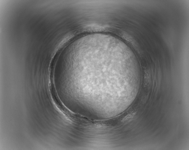 X0000064040582200602101427