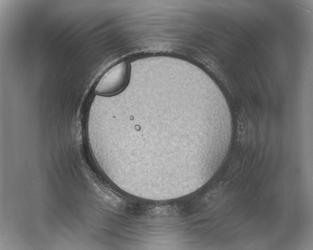 X0000064040584200602101427