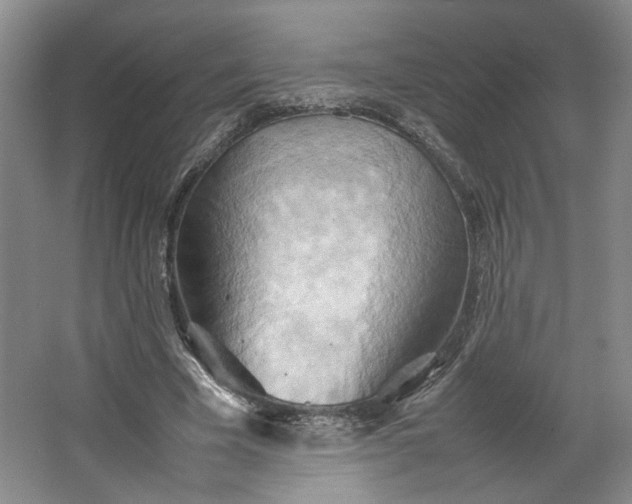 X0000064040585200602101427