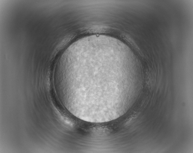 X0000064040586200602101427