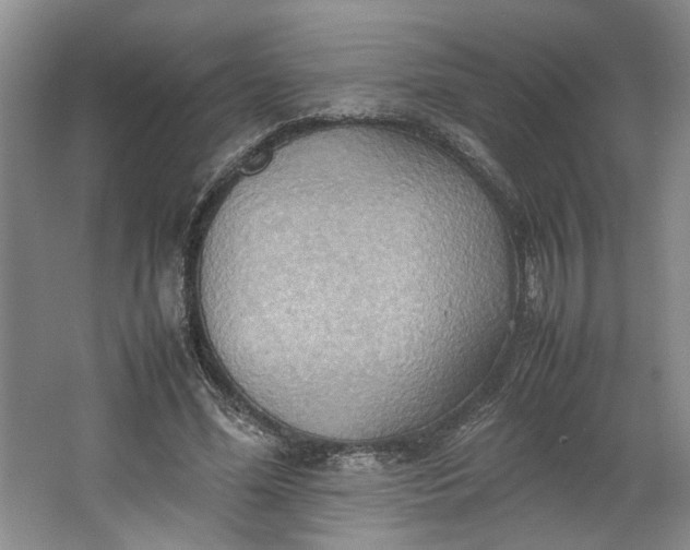 X0000064040588200602101427