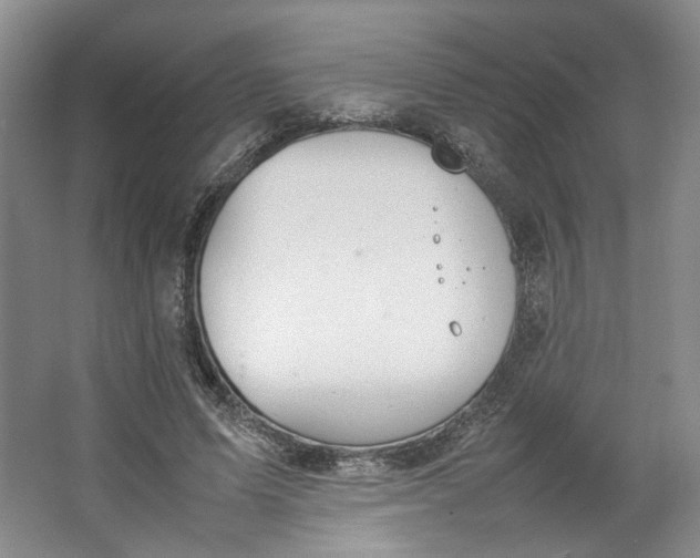 X0000064040591200602101427