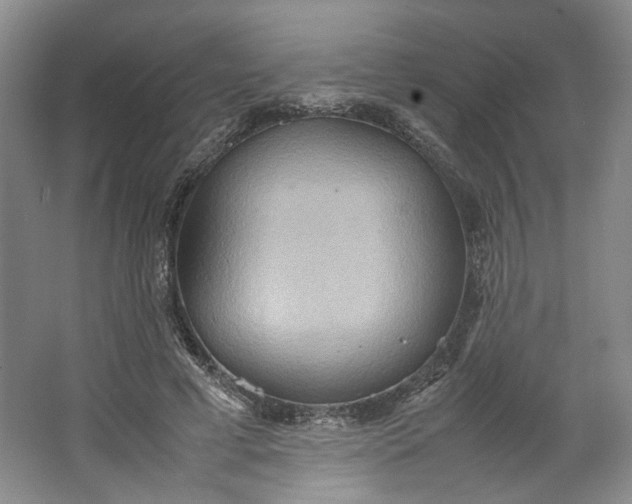 X0000064040593200602101427