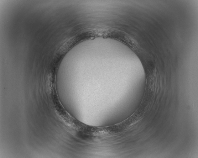 X0000064040594200602101427