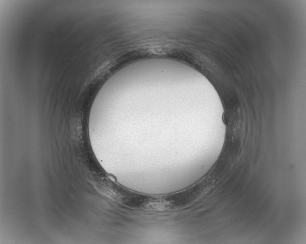 X0000064040595200602101427