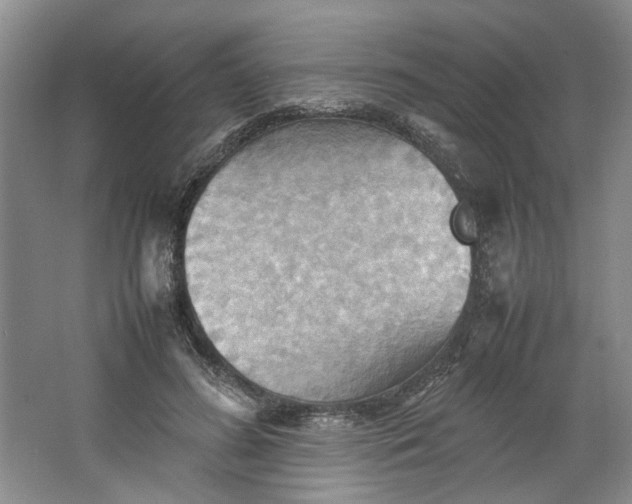 X0000064040596200602101427