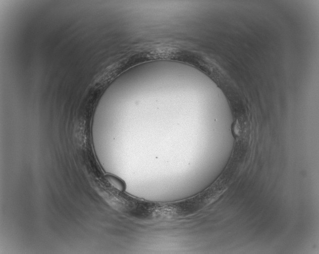 X0000064040599200602101426