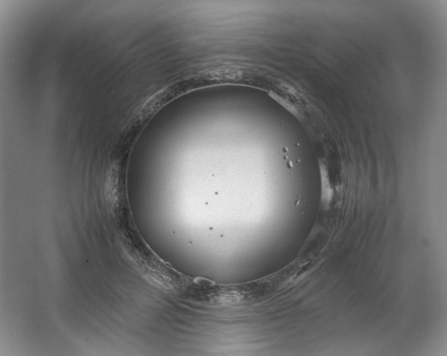 X0000064040600200602101426