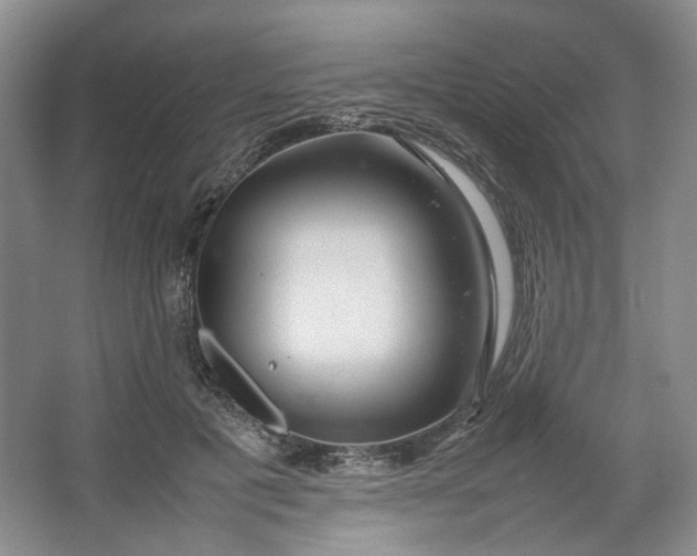 X0000064040601200602101426