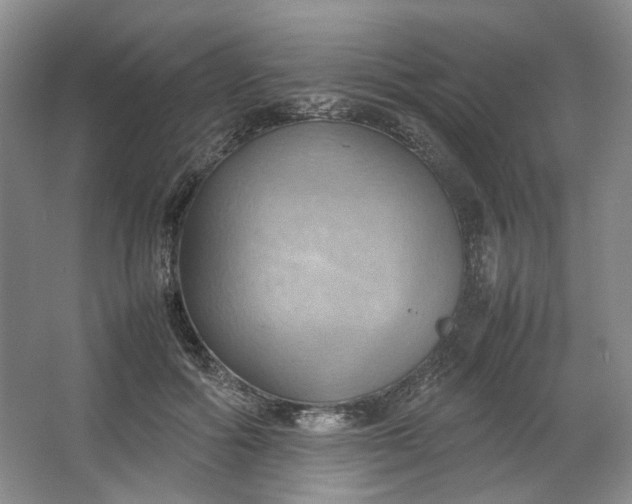 X0000064040602200602101426