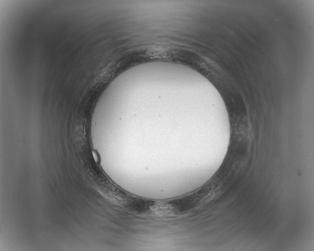 X0000064040603200602101426