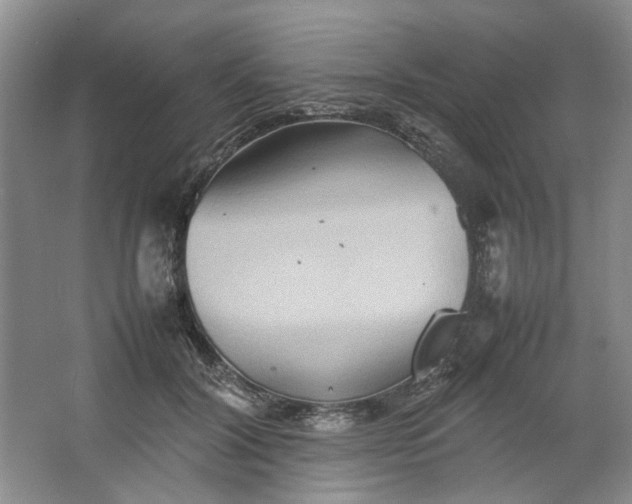 X0000064040604200602101426