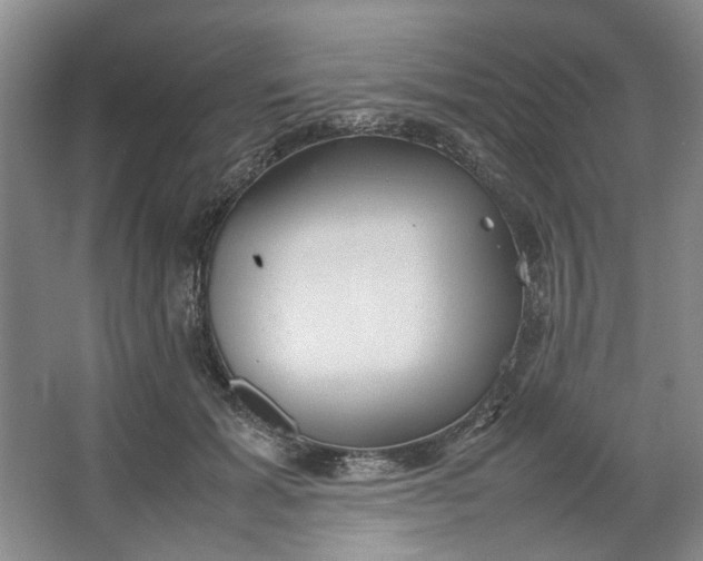 X0000064040605200602101426