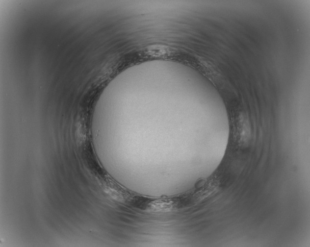 X0000064040606200602101426