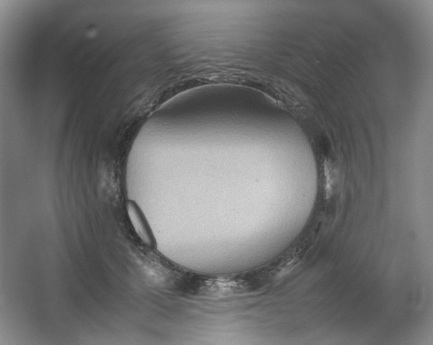 X0000064040607200602101426