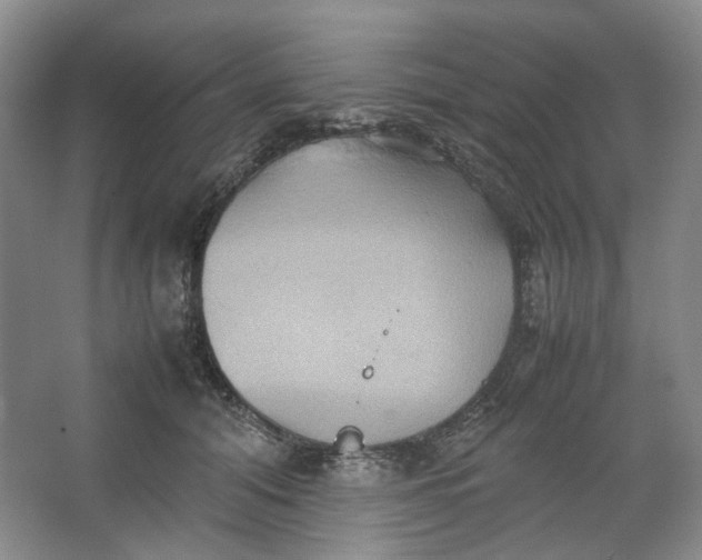 X0000064040608200602101426