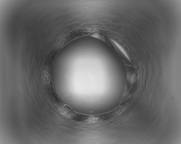 X0000064040609200602101426