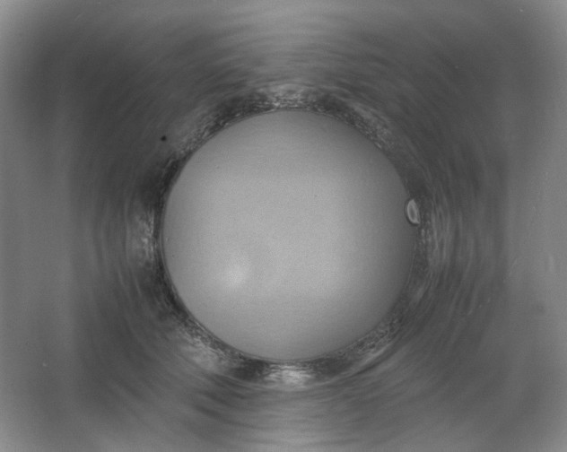 X0000064040610200602101426