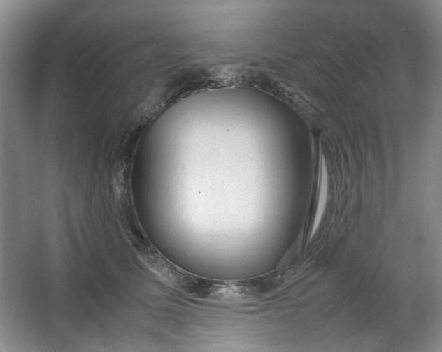 X0000064040611200602101426