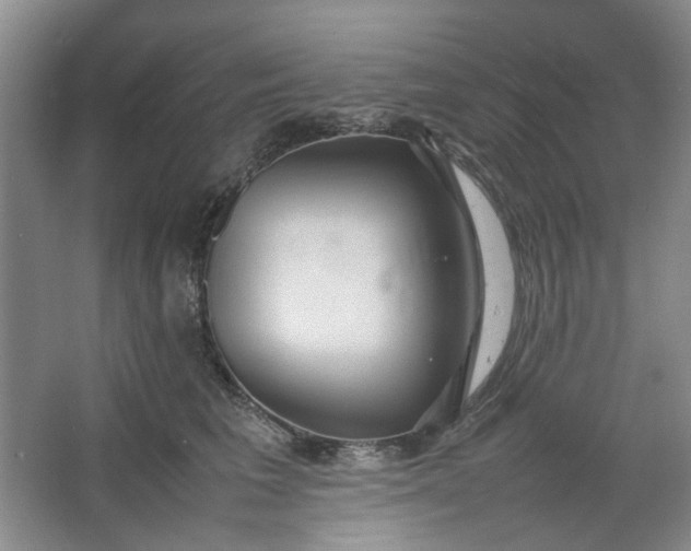 X0000064040613200602101426