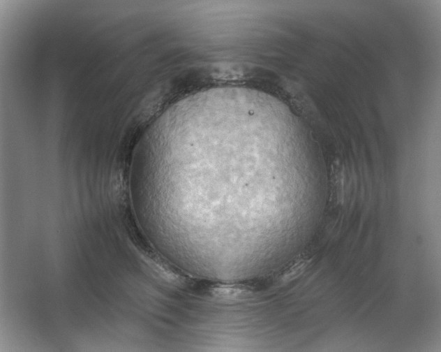 X0000064040614200602101426