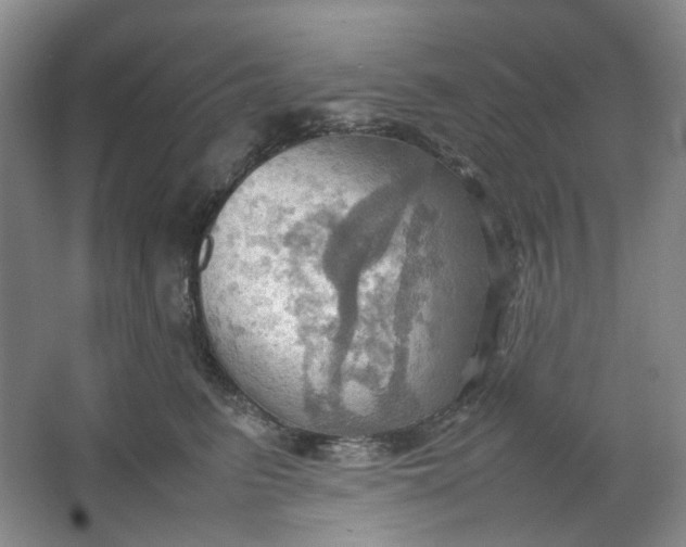 X0000064040615200602101426