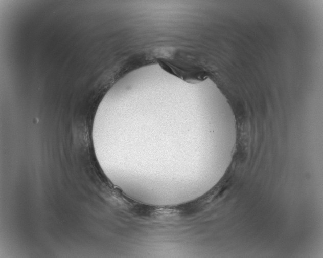 X0000064040617200602101426