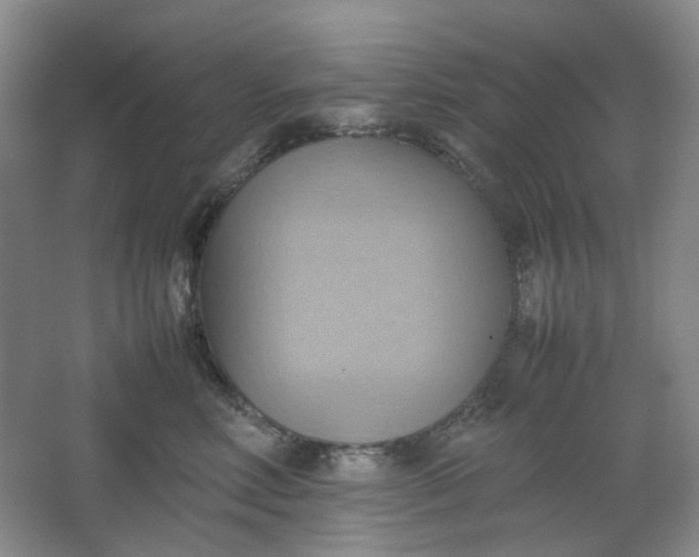 X0000064040618200602101426