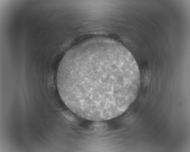 X0000064040619200602101426