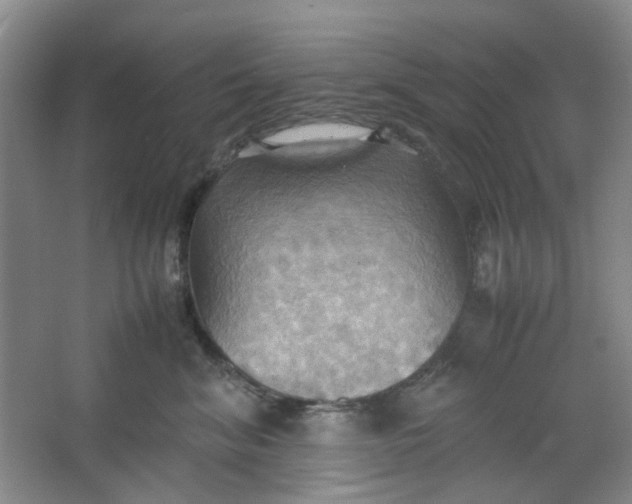 X0000064040620200602101426