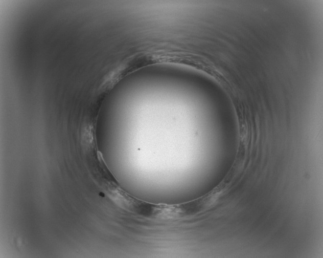 X0000064040621200602101426