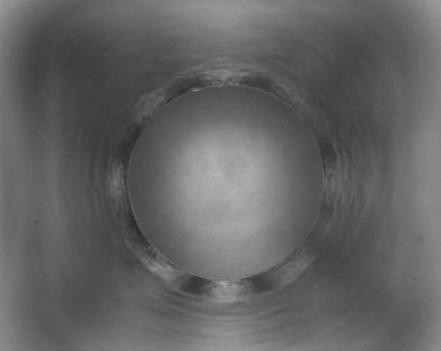 X0000064040623200602101426