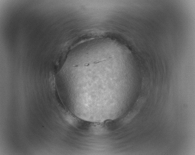 X0000064040624200602101426