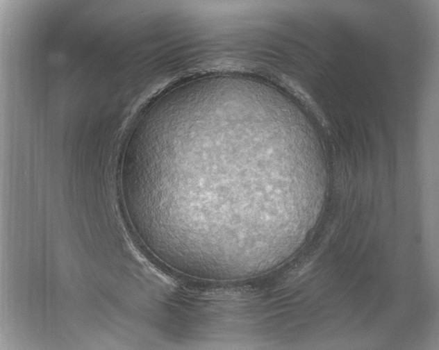 X0000064040625200602101425