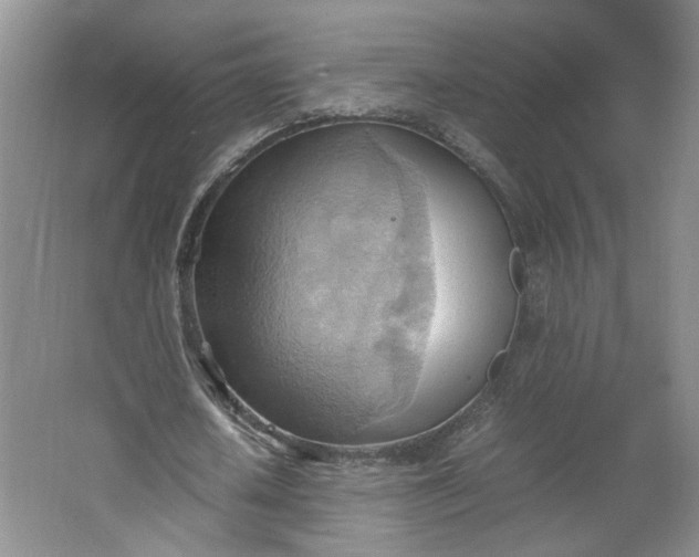 X0000064040626200602101425