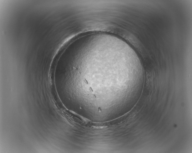 X0000064040628200602101425