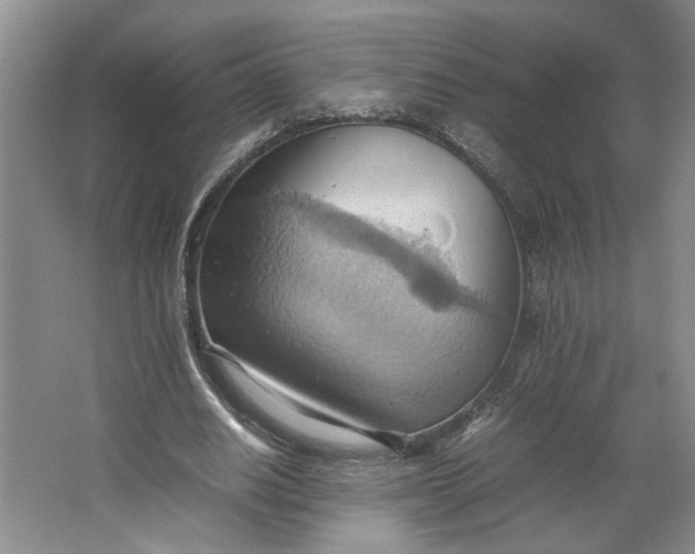 X0000064040630200602101425