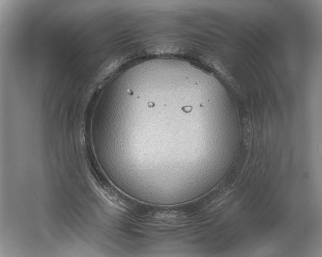 X0000064040631200602101425