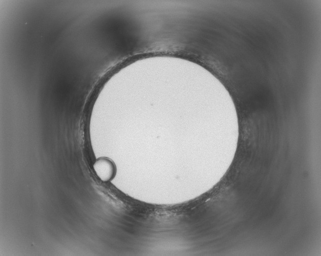 X0000064040632200602101425