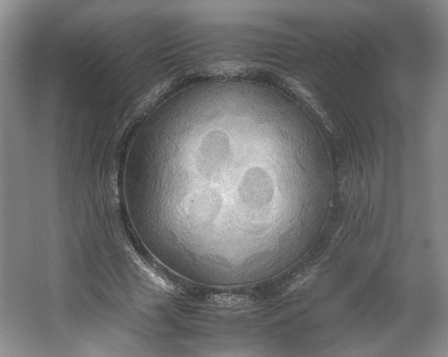 X0000064040633200602101425