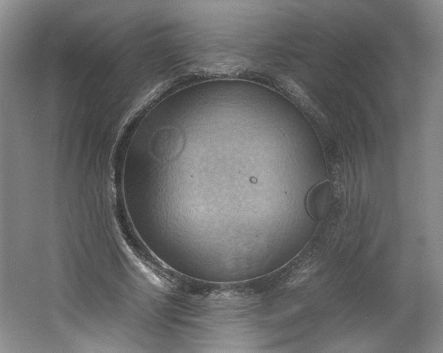 X0000064040634200602101425