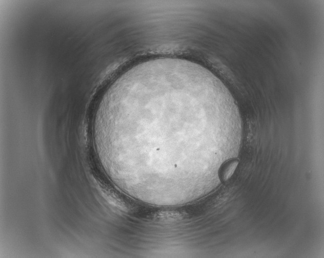 X0000064040636200602101425