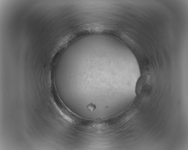 X0000064040638200602101425