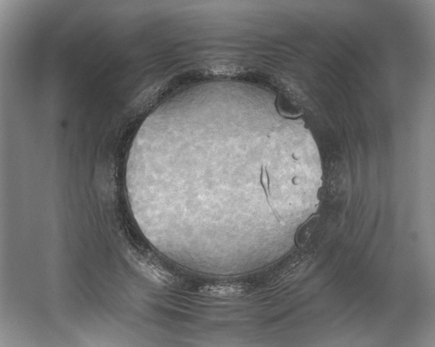 X0000064040639200602101425