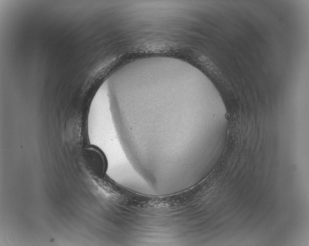 X0000064040640200602101425