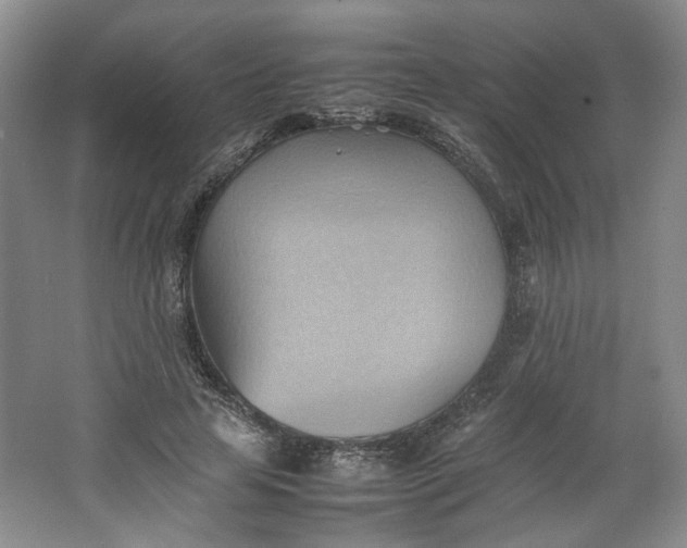 X0000064040641200602101425