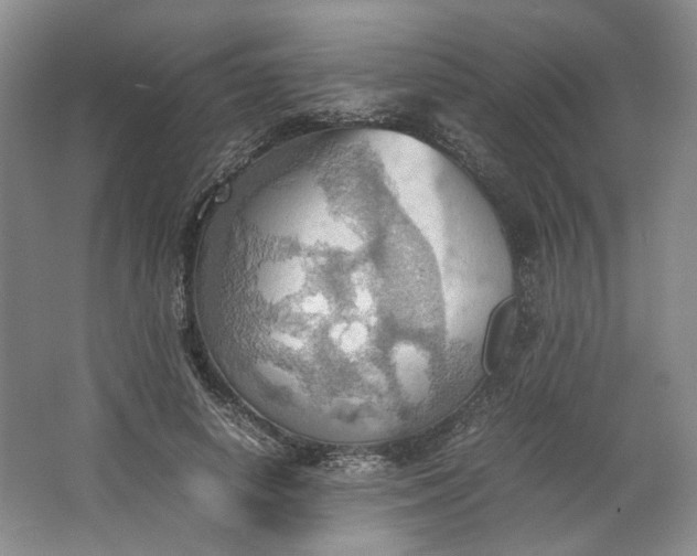 X0000064040642200602101426