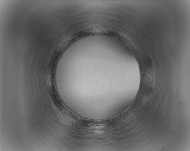 X0000064040643200602101426