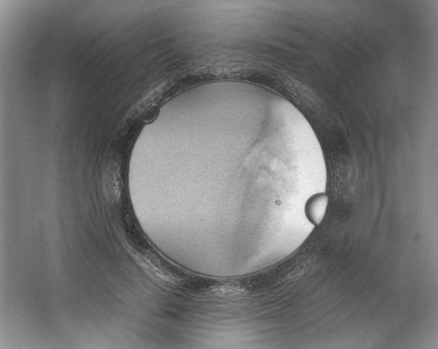 X0000064040644200602101426