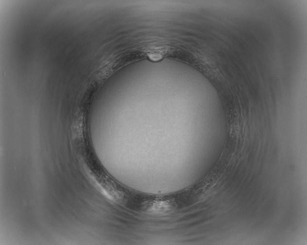 X0000064040647200602101426